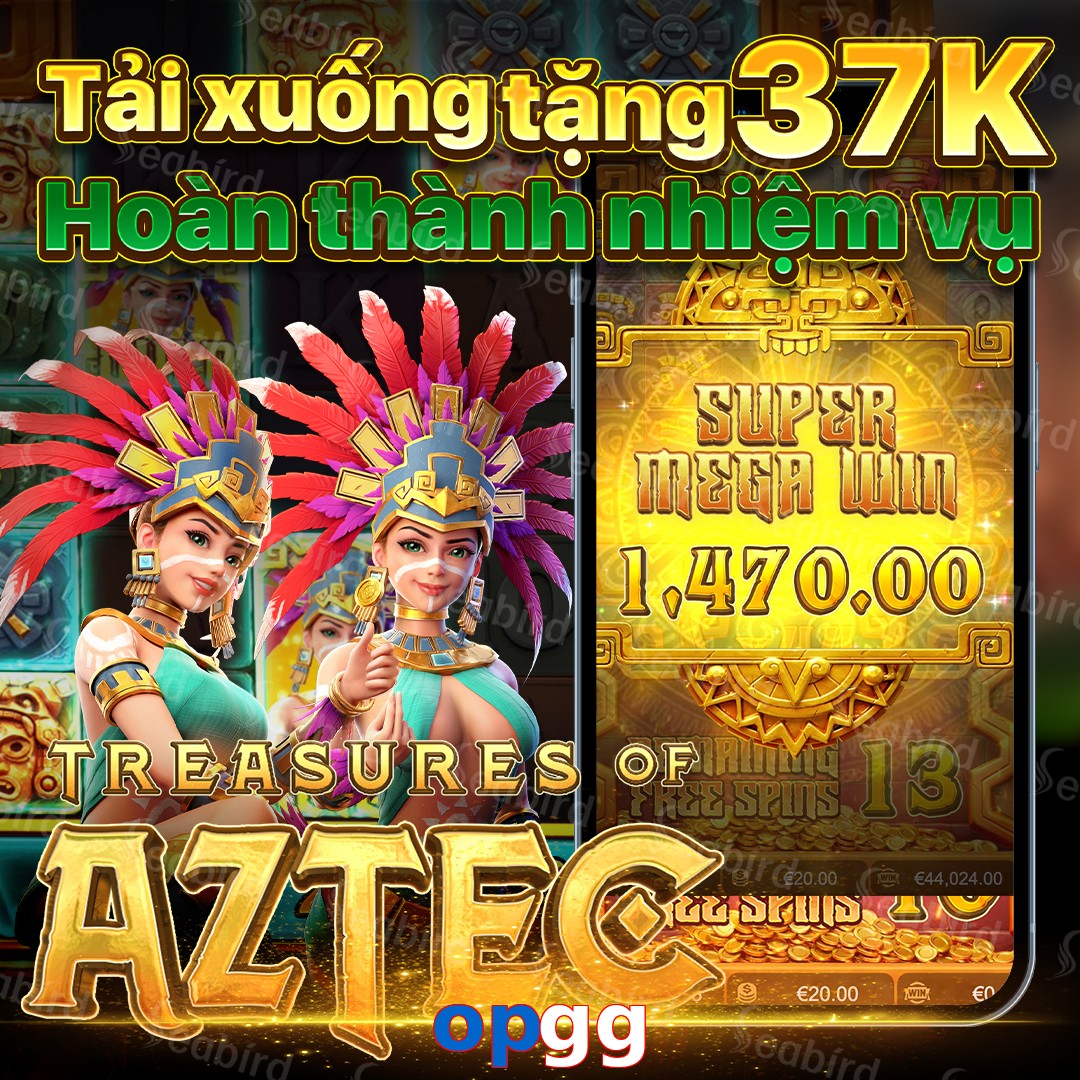 opgg