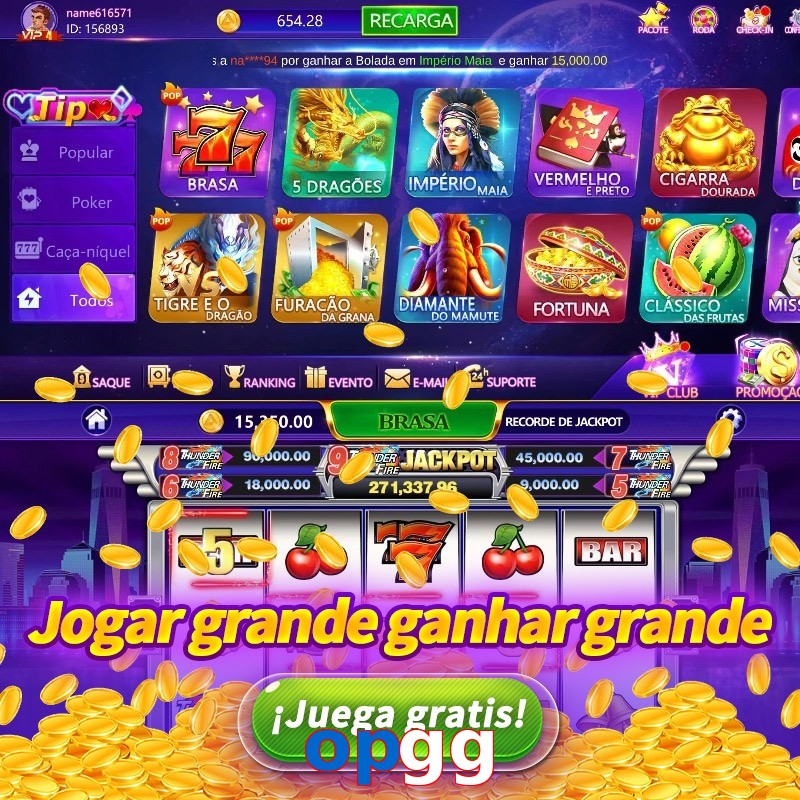 opgg