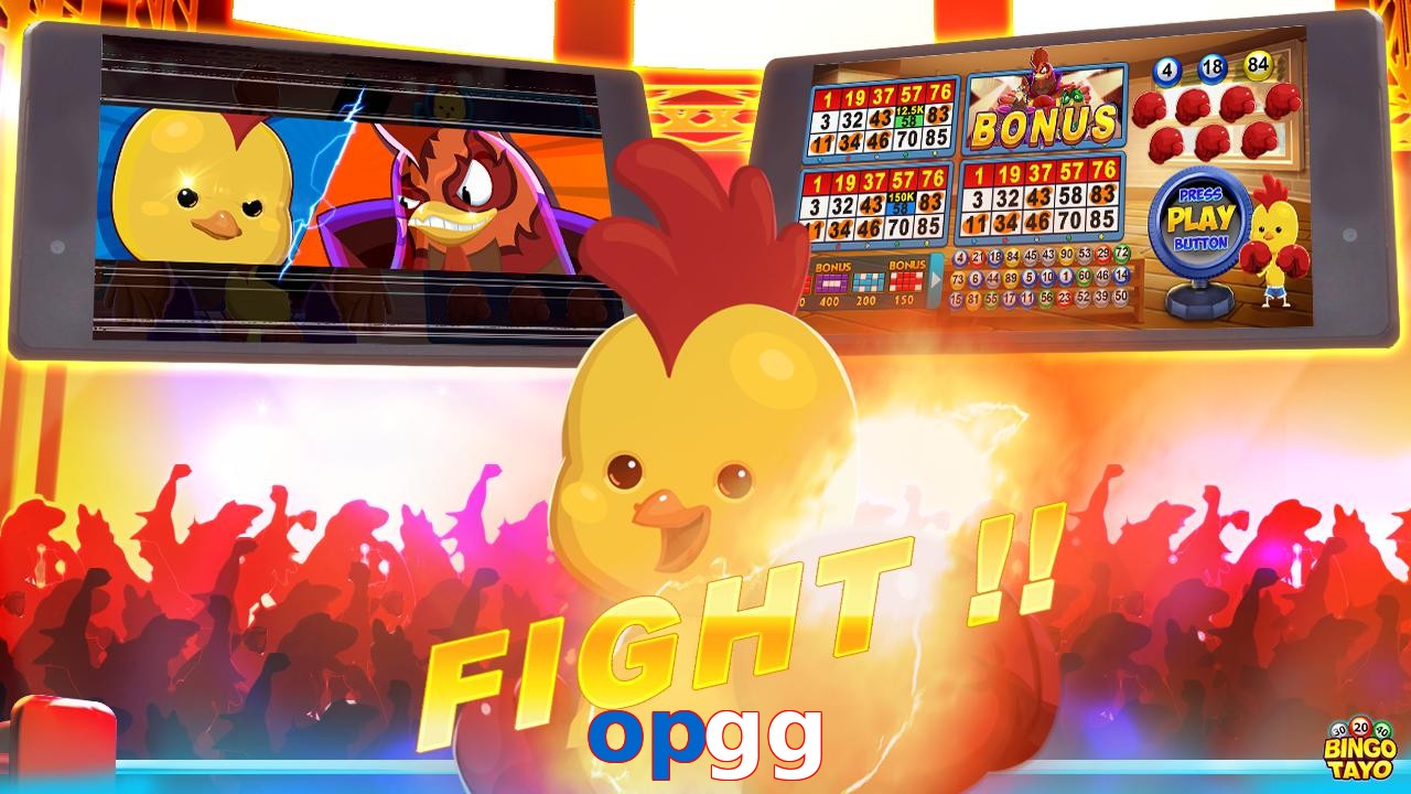 opgg