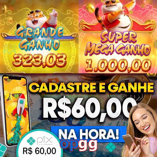 opgg