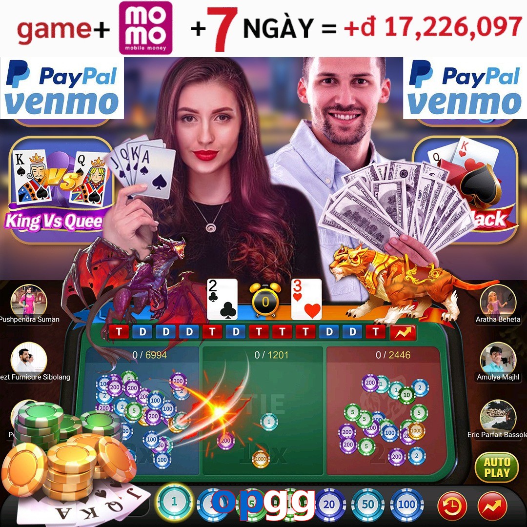 opgg