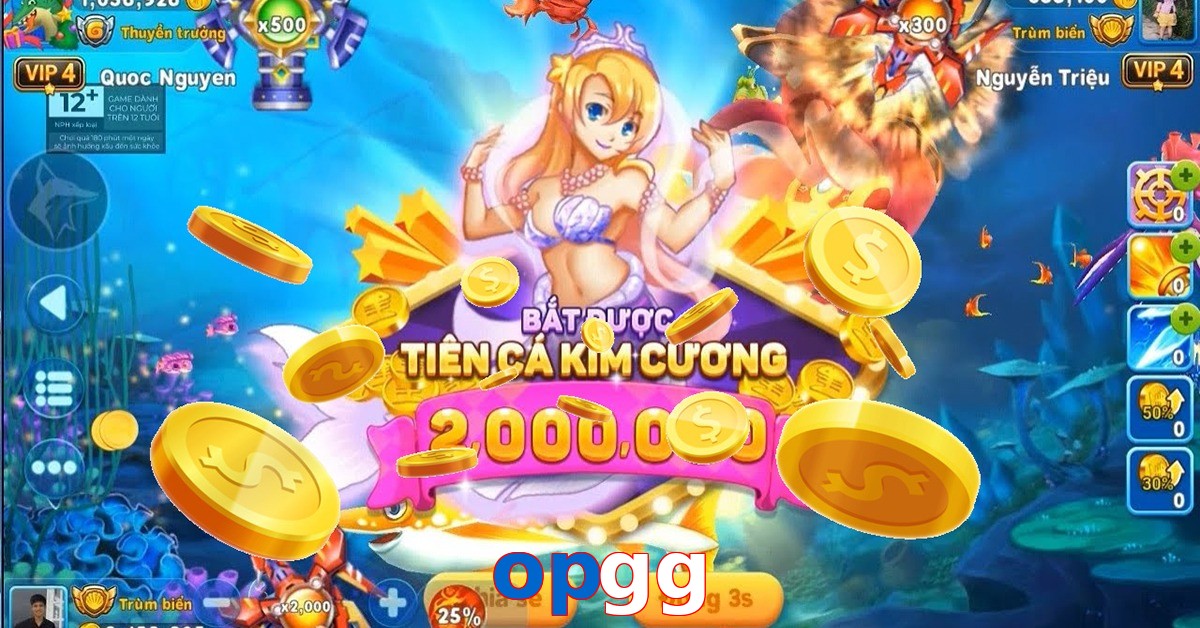 opgg
