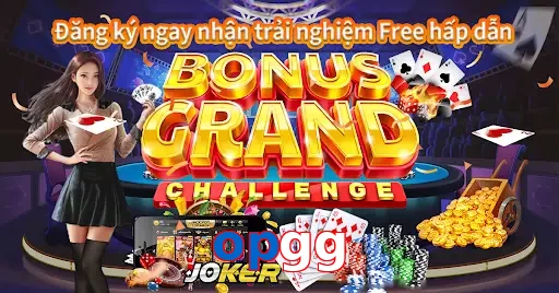 opgg