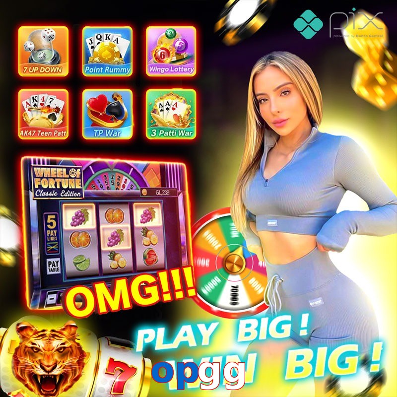 opgg