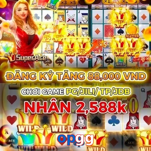 opgg