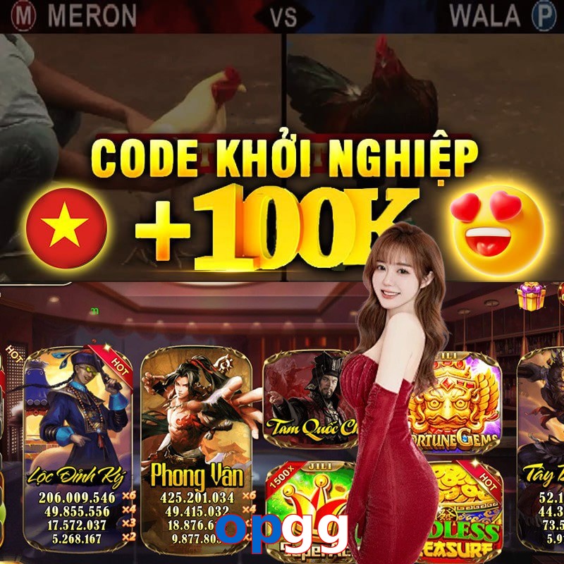 opgg