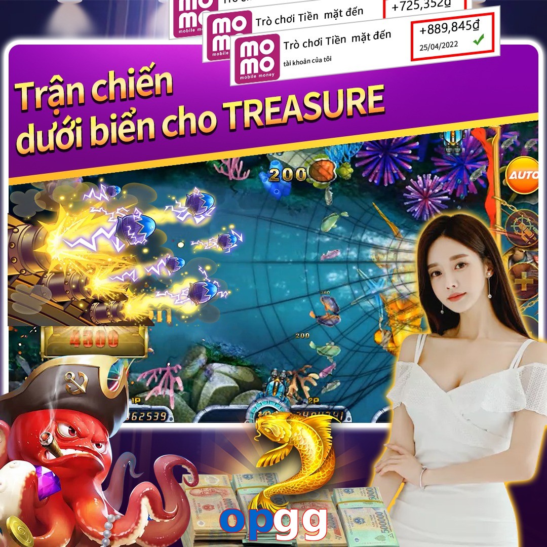 opgg